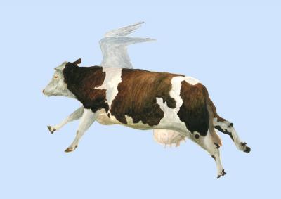 Прикрепленное изображение: cow for canvas.jpg